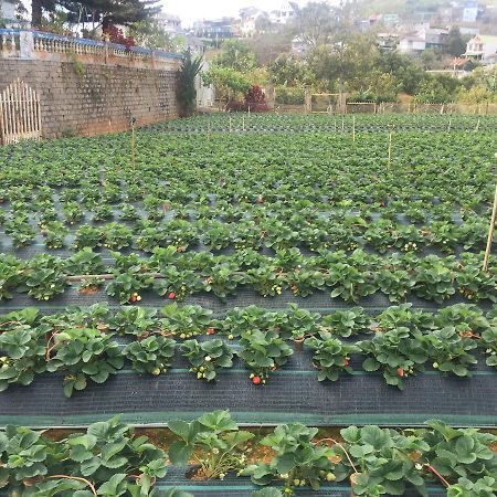 Nhat Nam Hotel Dalat Bagian luar foto