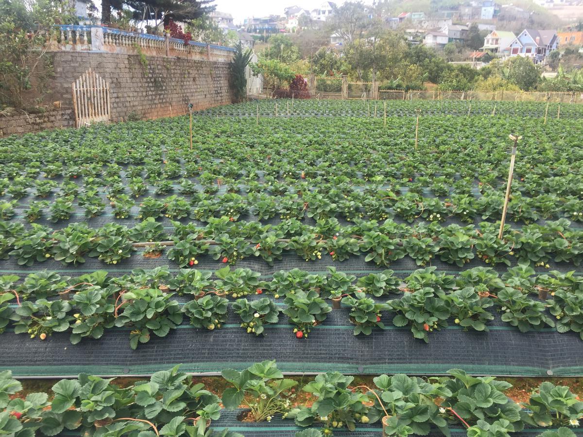 Nhat Nam Hotel Dalat Bagian luar foto